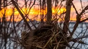 Wschód słońca w okolicach Sztynortu, zima 2021 - zdjęcie 35