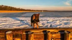 Bojery na jeziorze Dargin 2021 cz. 2 - zdjęcie 50