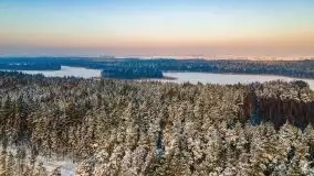 Zimowe Wydminy przed zachodem słońca, styczeń 2021 r. - zdjęcie 17