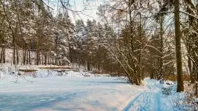 Zimowe Wydminy przed zachodem słońca, styczeń 2021 r. - zdjęcie 33