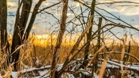 Zachód słońca w okolicach zimowych Kruklanek - zdjęcie 17