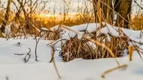 Zachód słońca w okolicach zimowych Kruklanek - zdjęcie 4