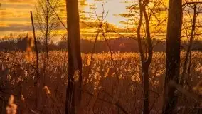 Zachód słońca w okolicach zimowych Kruklanek - zdjęcie 57