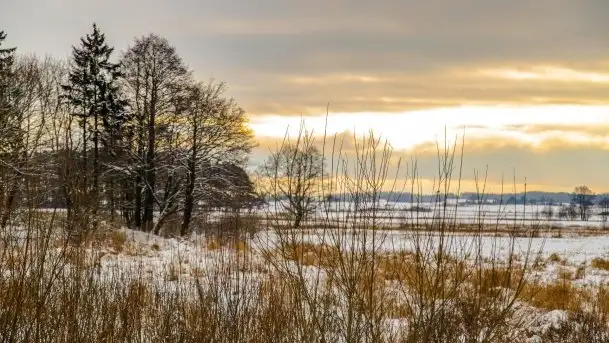 Okolice Kleszczewa w zimowej scenerii, styczeń 2021