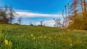 Majowy wschód słońca nad jeziorem Wojnowo - zdjęcie 39