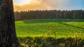 Majowy wieczór z mazurską przyrodą - zdjęcie 14