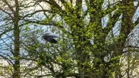 Majowy wieczór z mazurską przyrodą - zdjęcie 11