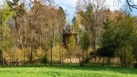 Wiosenne widoki z okolic Sztynortu, maj 2021 - zdjęcie 4