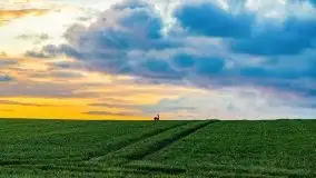 Wiosenne widoki z okolic Sztynortu, maj 2021 - zdjęcie 68