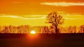 Wiosenne widoki z okolic Sztynortu, maj 2021 - zdjęcie 1