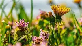 Zachód słońca nad jeziorem Jeziorowskie - zdjęcie 8