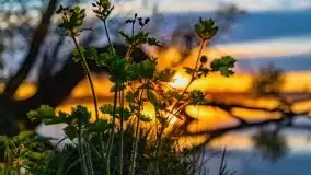 Zachód słońca nad jeziorem Jeziorowskie - zdjęcie 16