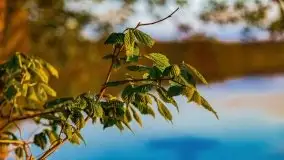 Zachód słońca nad jeziorem Jeziorowskie - zdjęcie 41