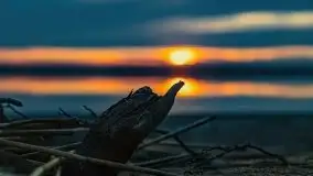 Zachód słońca nad jeziorem Jeziorowskie - zdjęcie 27