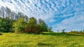 Mazur nie tylko szumem jeziora kuszą... zobaczcie wiosenną łąkę - zdjęcie 9