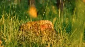 Zachód słońca nad jeziorem Dargin, Poganty - zdjęcie 40