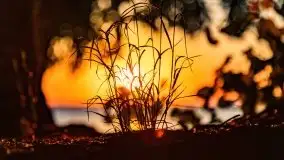 Zachód słońca nad jeziorem Dargin, Poganty - zdjęcie 23