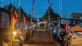 Wschód słońca nad jeziorem Bocznym, port Tło Dla Mew - zdjęcie 14