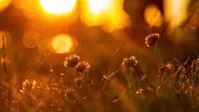 Zachody słońca nad Sztynortem, czerwiec 2021 - zdjęcie 15