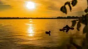 Zachód słońca nad jeziorem Mamry, czerwiec 2021 - zdjęcie 39