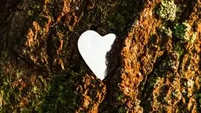 Zachód słońca nad jeziorem Mamry, czerwiec 2021 - zdjęcie 14