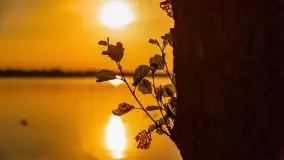 Zachód słońca nad jeziorem Mamry, czerwiec 2021 - zdjęcie 12