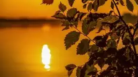 Zachód słońca nad jeziorem Mamry, czerwiec 2021 - zdjęcie 36