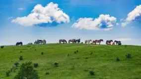 Czerwcowe Mazury, kompilacja niewykorzystanych zdjęć, 2021 - zdjęcie 6