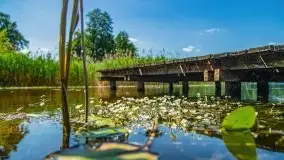 Czerwcowe Mazury, kompilacja niewykorzystanych zdjęć, 2021 - zdjęcie 1