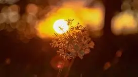 Zachód słońca nad jeziorem Dejguny, lipiec 2021 r. - zdjęcie 29