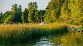 Zachód słońca w Fuledzie nad jeziorem Dobskim - zdjęcie 10