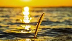 Zachód słońca w Fuledzie nad jeziorem Dobskim - zdjęcie 41