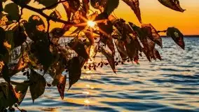 Zachód słońca w Fuledzie nad jeziorem Dobskim - zdjęcie 44