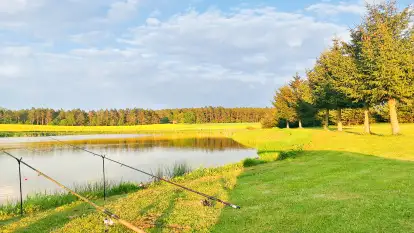 Brzozowe Siedlisko - zdjęcie 27