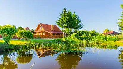 Brzozowe Siedlisko - zdjęcie 2