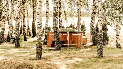 Brzozowe Siedlisko - zdjęcie 4