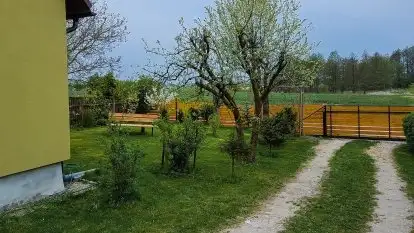 Domy Oliwkowe Jerzykowo - zdjęcie 7