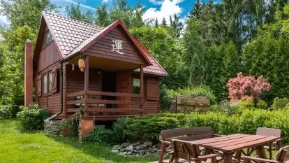 Nowa galeria - zdjęcie 9