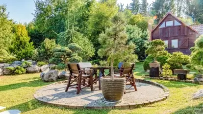 Nowa galeria - zdjęcie 7