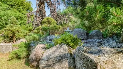 Nowa galeria - zdjęcie 26