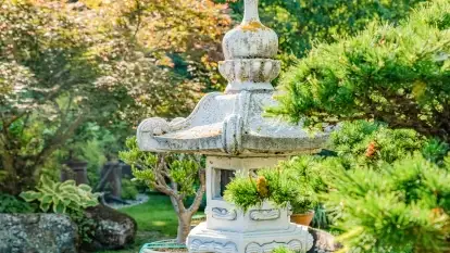 Nowa galeria - zdjęcie 41