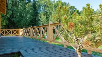 Nowa galeria - zdjęcie 21