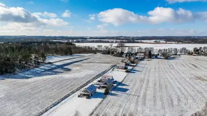 Ant House Complex - zdjęcie 14