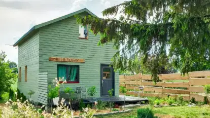 Świerkowe Siedlisko - zdjęcie 6