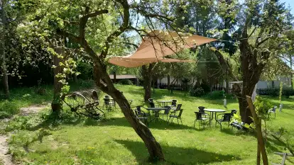 Dziupla Smaku - zdjęcie 12