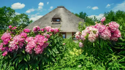 Dworek Króla Stanisława - zdjęcie 30