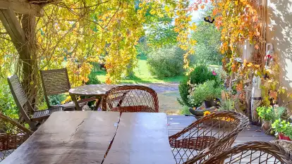 Folwark Perły - zdjęcie 41