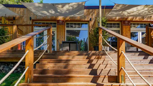 Apartamenty Leśna Przystań