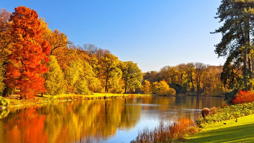 Mazurska Jesień na malowniczym półwyspie Łabędzi Ostrów