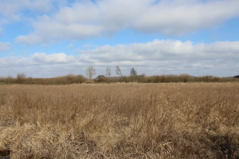 Działka rolna 4442 m2 blisko jeziora Białoławki - zdjęcie 11